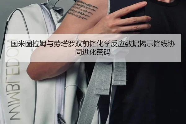 国米图拉姆与劳塔罗双前锋化学反应数据揭示锋线协同进化密码