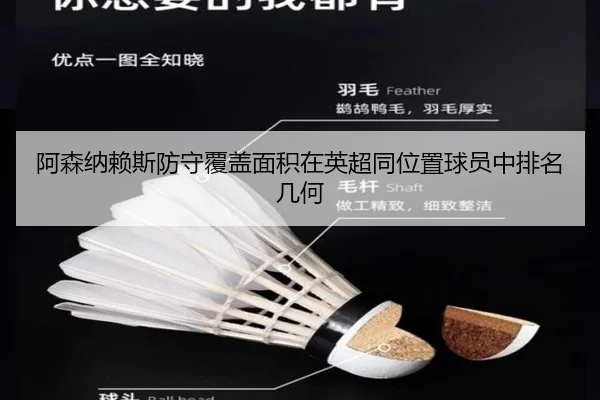 阿森纳赖斯防守覆盖面积在英超同位置球员中排名几何