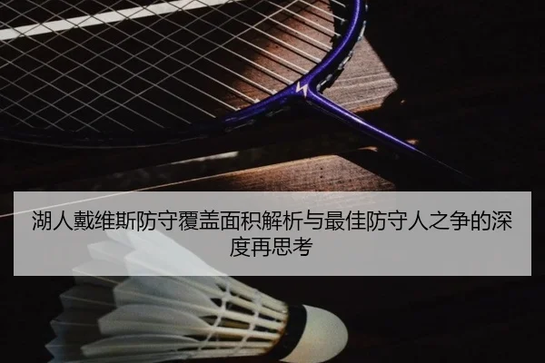 湖人戴维斯防守覆盖面积解析与最佳防守人之争的深度再思考